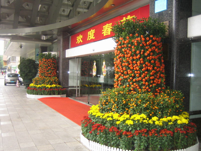 大(da)們(men)裝(zhuang)飾植物(wù)租賃