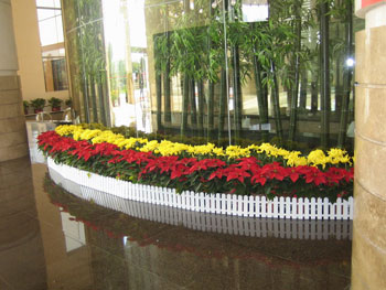 大(da)堂裝(zhuang)飾植物(wù)鮮花(huā)租擺