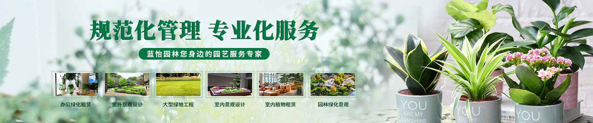 重(zhong)慶綠植租賃